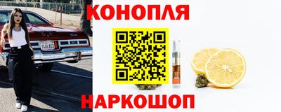 индика Кохма