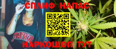индика Кохма
