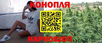 индика Кохма