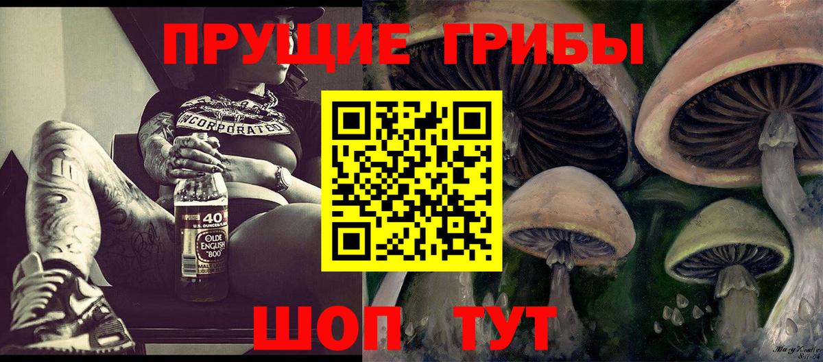 Псилоцибиновые грибы мицелий  Псилоцибиновые грибы мицелий  Вход с VPN  Кисловодск 